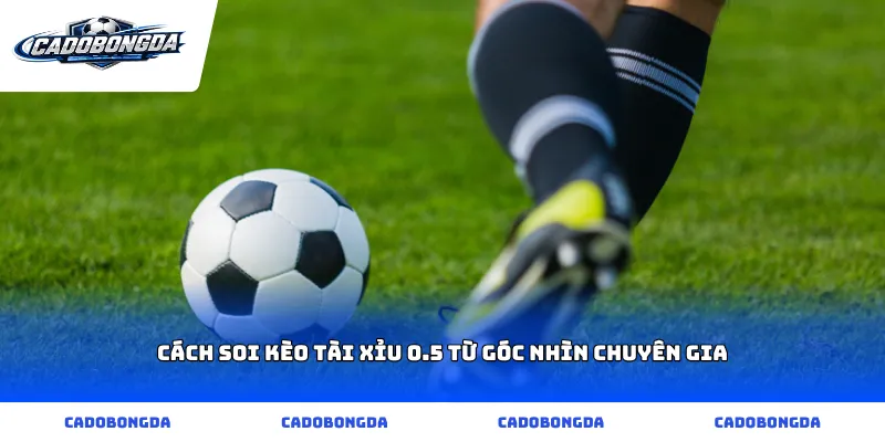 Cách soi kèo tài xỉu 0.5 từ góc nhìn chuyên gia