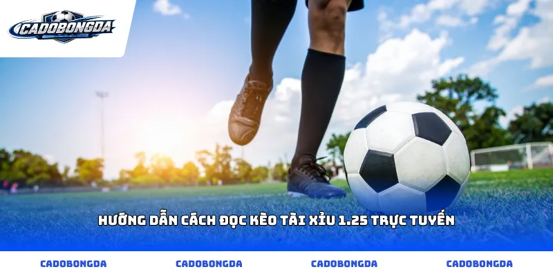 Hướng dẫn cách đọc kèo tài xỉu 1.25 trực tuyến